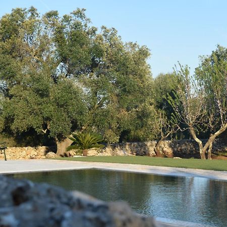Dimore Storiche - Ulivo Di Aldo Martina Franca Luaran gambar