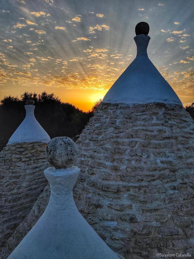 Dimore Storiche - Ulivo Di Aldo Martina Franca Luaran gambar