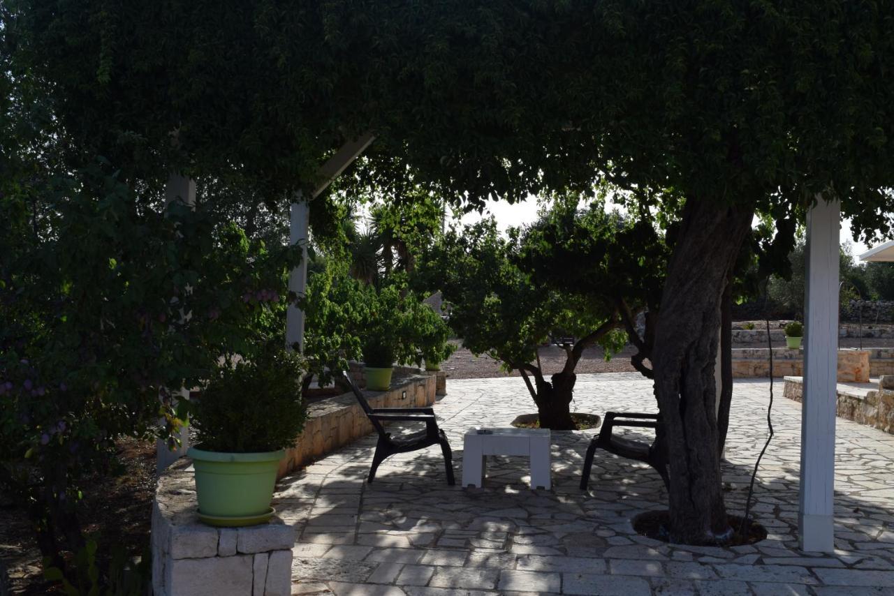 Dimore Storiche - Ulivo Di Aldo Martina Franca Luaran gambar