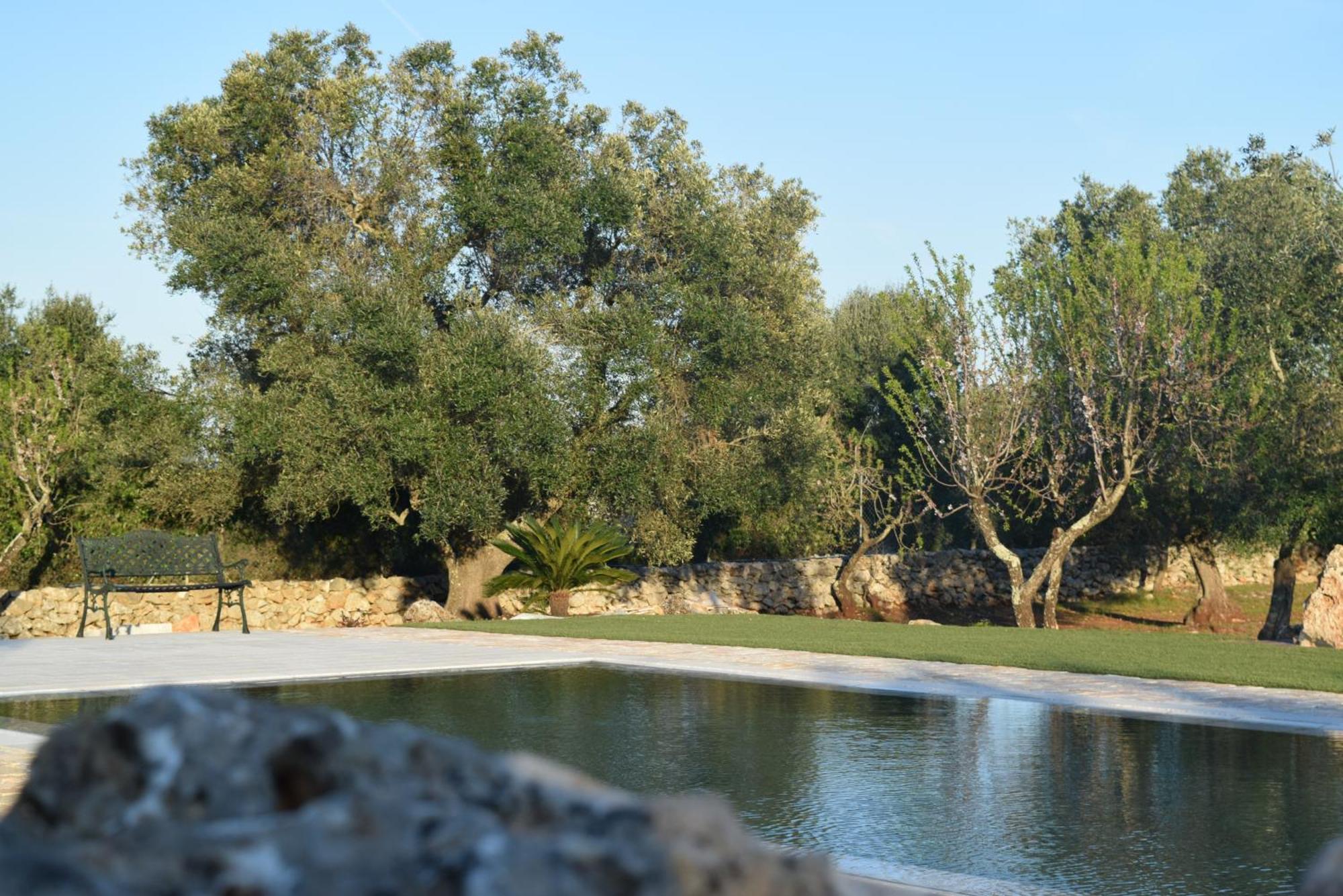 Dimore Storiche - Ulivo Di Aldo Martina Franca Luaran gambar